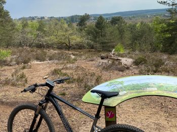 Trail Mountain bike Rambouillet - Rambouillet/ Rochefort en yvelines - Photo