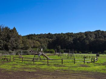 Excursión A pie Vallehermoso - Laguna Grande II - Photo