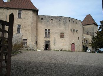 Randonnée A pied Aigueperse - Chateau de la Roche - Photo