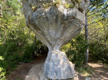 Trail Walking Le Rozier - Balcons du mejean  - Photo