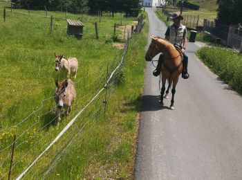 Trail Horseback riding Métairies-Saint-Quirin - kubolot point de vue abreschviller retour crâne  - Photo