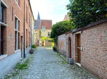 Tour Wandern Mechelen - Malines out and in 20 km - Photo