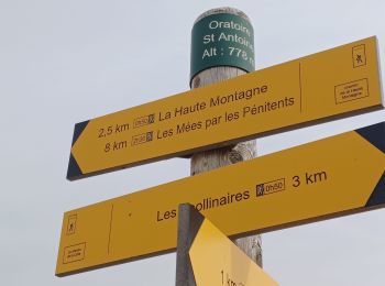 Trail Walking Les Mées - LES MEES CIRCUIT DES PENITENTS . LA HAUTE COTE . LA HAUTE MONTAGNE . SAINT ANTOINE . N  - Photo