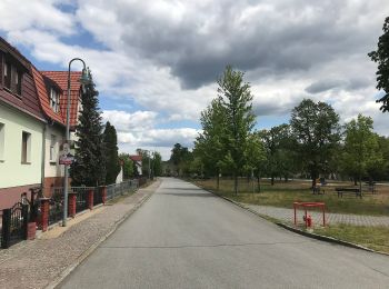 Tour Zu Fuß Halbe - Rundwanderweg Briesen-Staackmühle - Photo