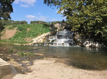 Trail Mountain bike Prades-le-Lez - Rando Lez Baillarguet  - Photo