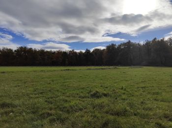 Tocht Stappen Valeille - Randonnée de Valeille  - Photo