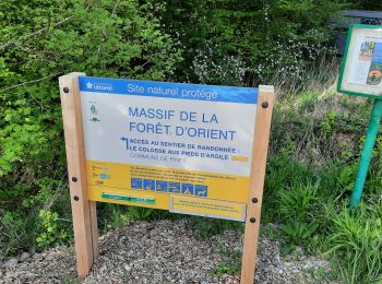 Randonnée Marche Piney - sentier du colosse d'argile - Photo