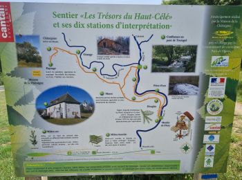 Tour Wandern Puycapel - Mourjou en Châtaigneraie  - Photo