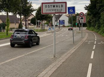 Randonnée Vélo électrique Ostwald - Sans pluie  - Photo