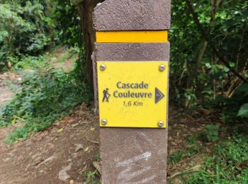 Trail Walking Le Prêcheur - Cascade de l'anse Couleuvre, depuis anse Céron en aller-retour ! - Photo
