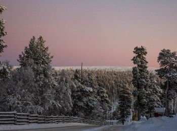 Randonnée A pied Inari - Iisakkipään luontopolku - Photo