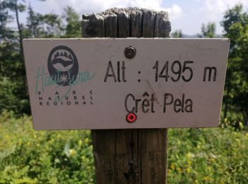 Trail Walking Lamoura - Le Crêt Pela - Photo