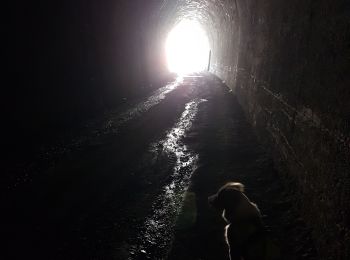 Tour Wandern Le Lauzet-Ubaye - La Roche - Roche Rousse Taïga - Photo