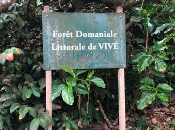 Randonnée Marche Le Lorrain - La Crabière-Tapis Vert - Photo