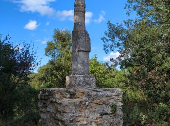 Randonnée Marche Vallabrix - Vallabrix et le site de Massargues  - Photo