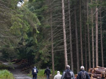 Tour Wandern Sprimont - 20201001 - Banneux 8 Km - Photo