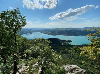 Tour Wandern Aiguebelette-le-Lac - L’épine et le lac d’Aiguebelette  - Photo