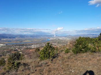 Trail Walking Châteauneuf-du-Rhône - Le Navon et le Défilé de Donzère 11km - Photo