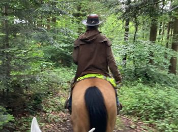 Trail Horseback riding Fremifontaine - Fremifontaine les sentiers d’epona kaline Tivio  - Photo