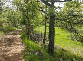 Trail Walking Courmes - ST BARNABE - Photo