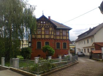 Randonnée A pied Inconnu - Breckenheim: Rundwanderweg Kleeblatt - Photo