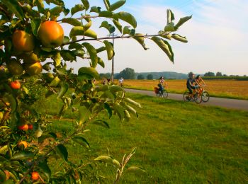 Trail Mountain bike Herve - Herve : Walk of the apple trees in the land of orchards (32,2 km) - Photo
