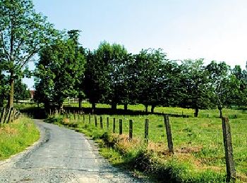 Randonnée A pied Flobecq - Entre Everbeek-Boven et le Bois de la Louvière - Photo