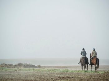 Tocht Paard Elzele - Ruiter- & menroute van Ellezelles - Photo