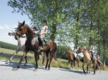 Tocht Paard Pecq - Ruiter- & menroute van Pecq en Mont-Saint-Aubert - Photo