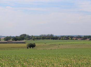 Percorso A piedi Silly - Hoves : its open landscapes and old farms - Photo