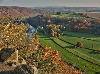 Tocht Mountainbike Esneux - Esneux - Circuit N° 3 - Photo