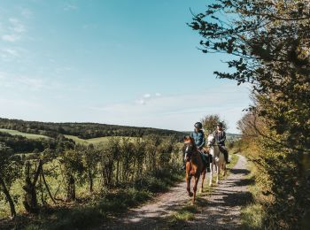 Trail Equestrian Sivry-Rance - Montbliart - promenade équestre n°1 - Photo