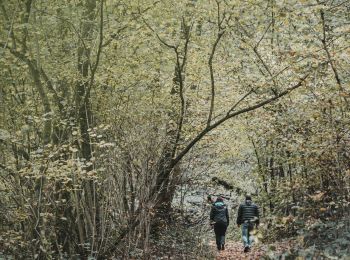 Trail On foot Walcourt - Pays des Splingues - Photo