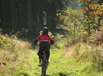 Tocht Mountainbike Vielsalm - VTT 2 - Photo