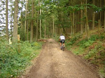 Tocht Mountainbike Vielsalm - VTT 4 - Photo