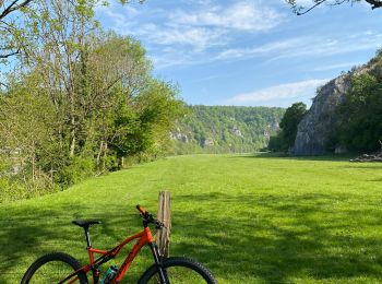 Trail Mountain bike Hastière - VTT 2: L'Île aux Oiseaux - Photo