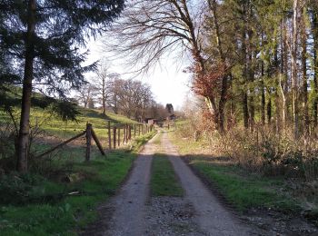 Trail On foot Bièvre - La Roche Mouselle - Photo