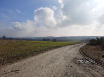 Trail On foot Bastogne - Moulins de la Wiltz - Photo