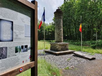 Trail On foot Paliseul - Carlsbourg : Du bois du Defoy - Photo