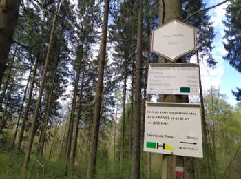 Excursión A pie Vresse-sur-Semois - Ici la France - Photo