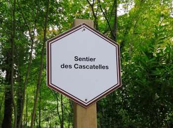 Tocht Te voet Dinant - PROMENADE LES CASCATELLES - Falmignoul - Photo