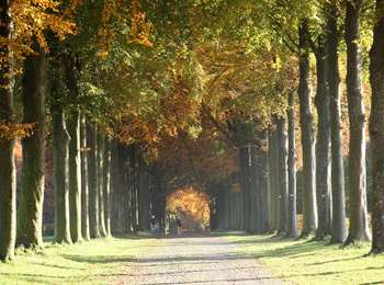 Percorso A piedi Modave - Circuit de Petit-Modave - Photo