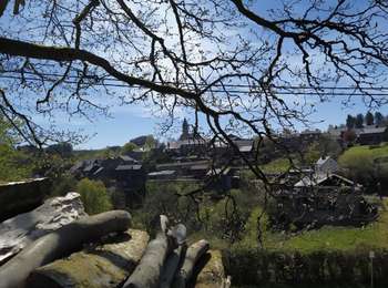 Excursión A pie Vresse-sur-Semois - La roche l'ermite - Photo