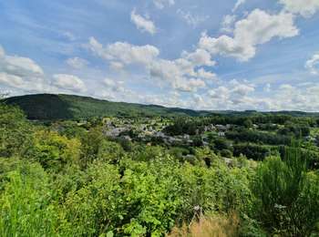 Excursión A pie Vresse-sur-Semois - Sacré coeur - Photo