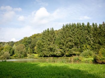 Tocht Te voet Aubange - De 7 bronnen van Battincourt - Photo