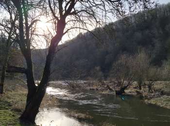 Excursión A pie Vresse-sur-Semois - Pont de claies - Photo