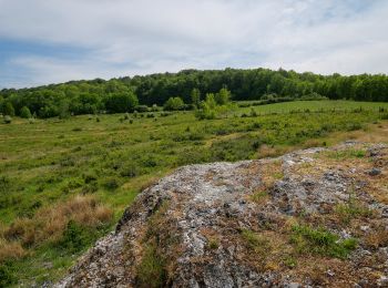 Tour Zu Fuß Emsong - La Réserve naturelle de Musson - Photo