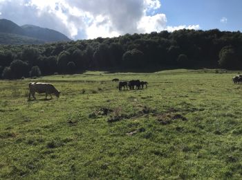 Percorso Marcia Alfedena - La Meta Abruzzes montagne  sommet 13 km - Photo