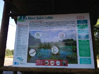Percorso Marcia Louviers - Louviers Saint Lubin - Photo