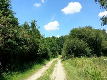 Trail Walking Monthodon - Monthodon - et Le Sentier - 26.7km 230m 6h00 - 2018 07 15 - public - Photo